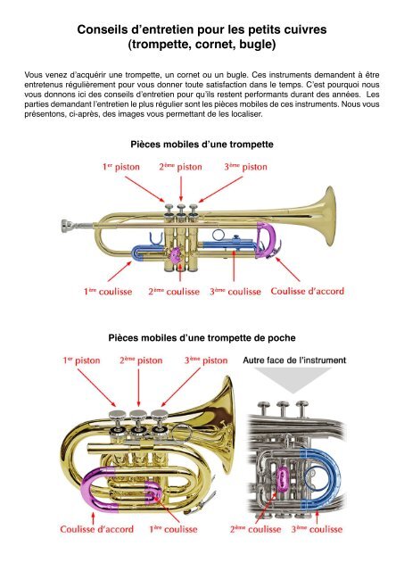 Conseils d'entretien pour les petits cuivres (trompette ... - Vents de folie