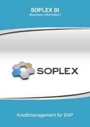 PDF herunterladen - Soplex Consult GmbH