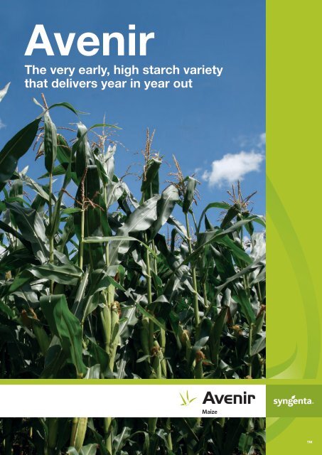 Avenir Maize Brochure