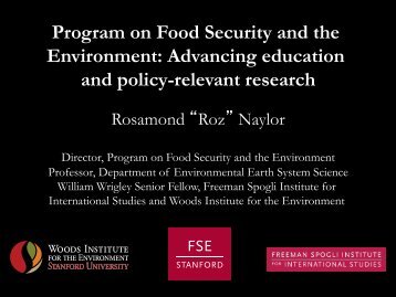 Program on Food Security and the Environment: Advancing ...