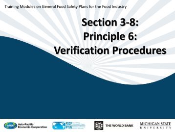 Section 3-8: Principle 6: Verification Procedures
