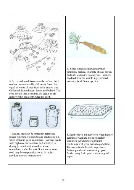 Tree Seed Quality Guide - World Agroforestry Centre