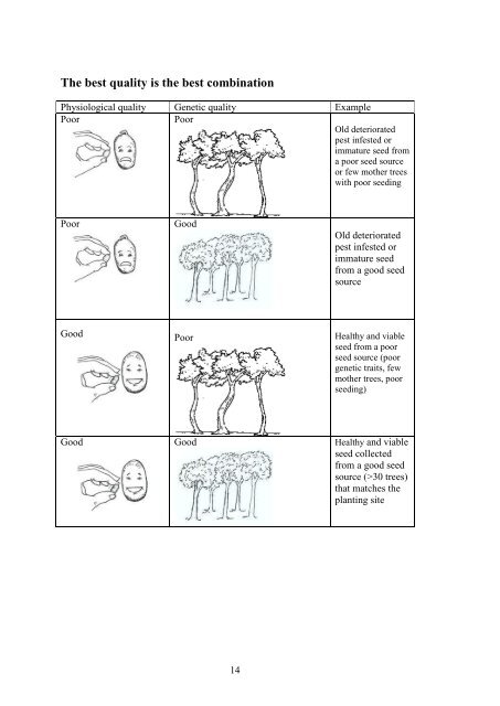 Tree Seed Quality Guide - World Agroforestry Centre