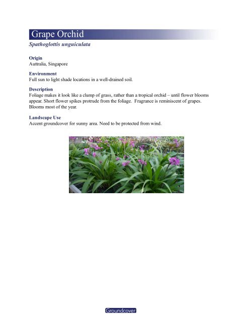 Fragrant plants - Kauai Nursery & Landscaping, Inc.