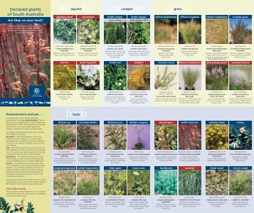 Declared plants of South Australia - South Australian Murray-Darling ...