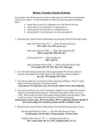 Pre Ap Biology Genetics Practice Problems Class With Mrs Robson Practice Genetics Problems Answers