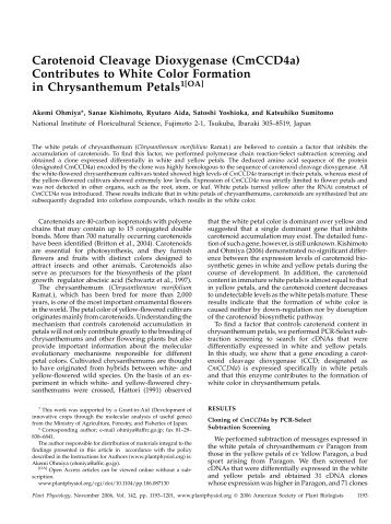 Carotenoid Cleavage Dioxygenase (CmCCD4a ... - Plant Physiology