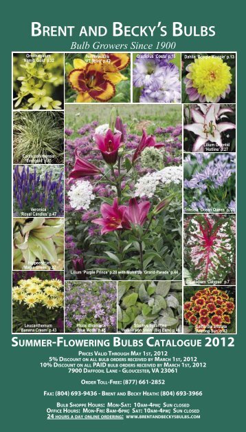 2008 Summer Flowering Bulbs Catalogue - Brent and Becky's Bulbs!