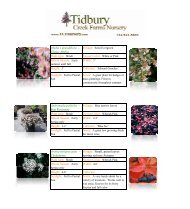 Shrubs Hortus Loci