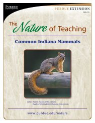 Common Indiana Mammals - Purdue Extension - Purdue University