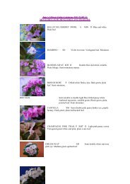 Jane's African Violets Catalogue 2011 PART 11 MINITURES/ SEMI ...