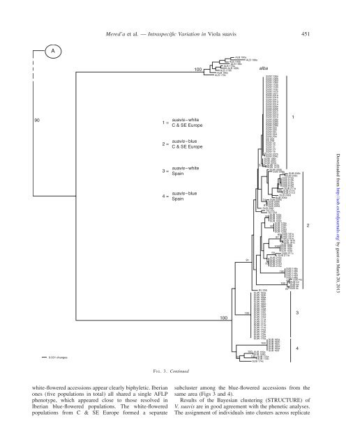 Intraspecific Variation in Viola suavis in Europe ... - Annals of Botany