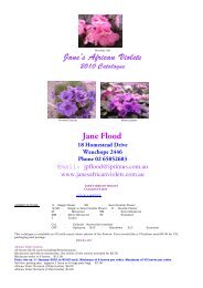 Jane's African Violets Jane Flood