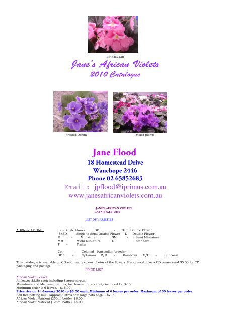 Jane's African Violets Jane Flood