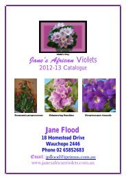 Download - Jane's African Violets