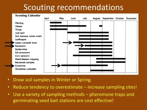 Below-ground Insect Pests of Peanuts