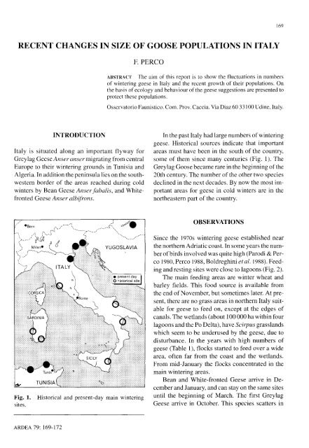 recent changes in size of goose populations in italy - ardeajournal ...