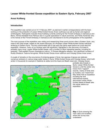 pdf 800KB - Portal to the Lesser White-fronted Goose