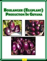 Boulanger - Guyana Marketing Corporation