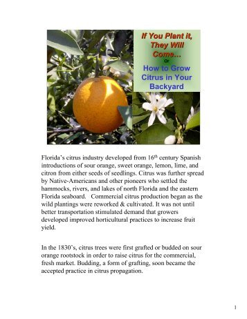 How to Grow Citrus in Your Backyard - Okeechobee County ...