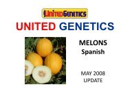 Spanish types - United Genetics Seeds Company