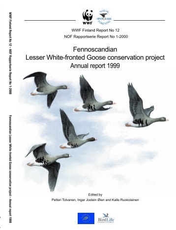 Fennoscandian Lesser White-fronted Goose conservation project ...