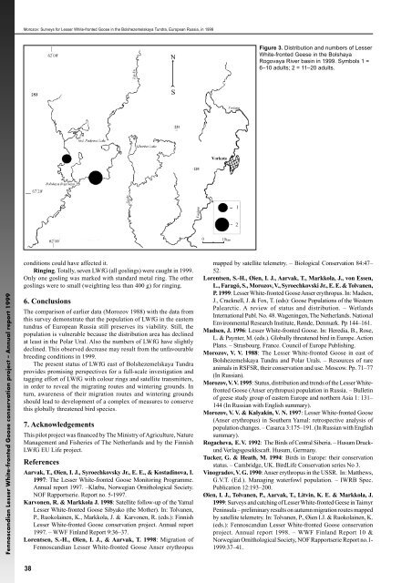 Fennoscandian Lesser White-fronted Goose conservation project ...