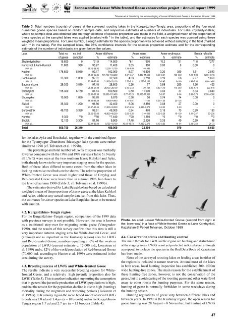 Fennoscandian Lesser White-fronted Goose conservation project ...