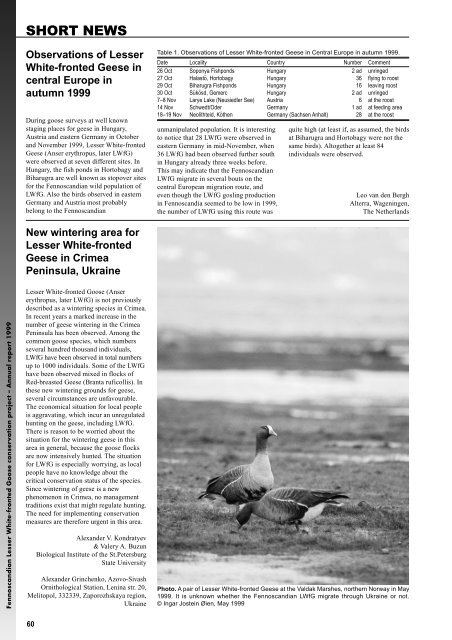 Fennoscandian Lesser White-fronted Goose conservation project ...