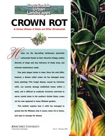 Crown Rot - Plant Pathology - Iowa State University