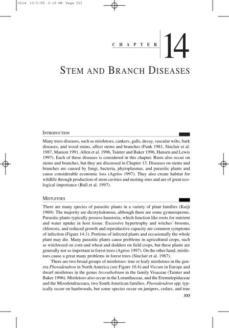 STEM AND BRANCH DISEASES