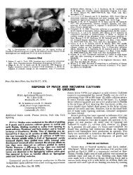 response of peach and nectarine cultivars to girdling