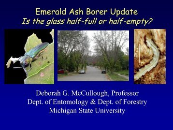 Emerald Ash Borer Update - Michigan State University: Integrated ...