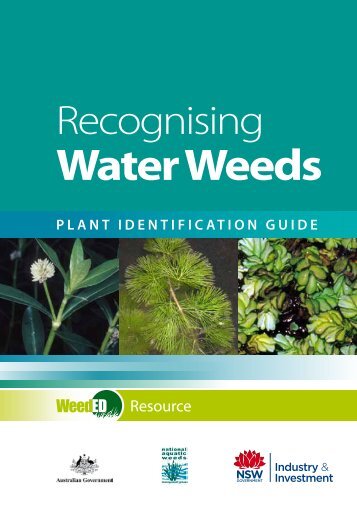 Recognising Water Weeds - plant identification guide - NSW ...