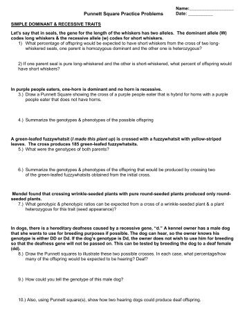 Punnett Square Practice Problems