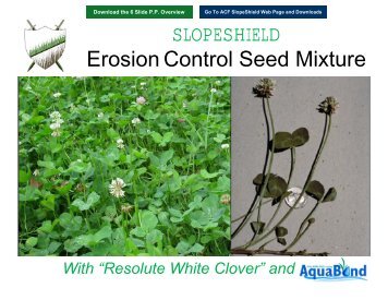 SLOPESHIELD Erosion Control Seed Mixture - ACF Environmental