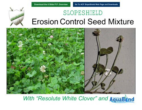 SLOPESHIELD Erosion Control Seed Mixture - ACF Environmental