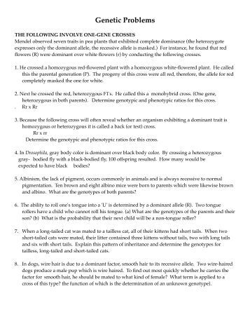 Pre Ap Biology Genetics Practice Problems Class With Mrs Robson Genetics Problem Ap