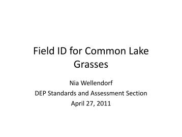 Field Identification of Common Grasses
