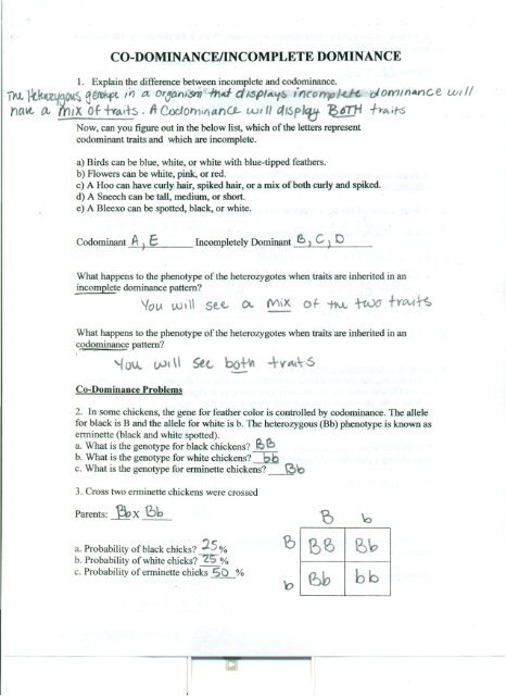 Incomplete and codominance worksheet answers