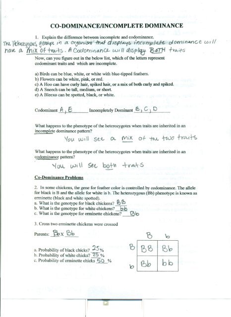 Incomplete and co Dominace answers.pdf
