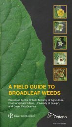 A FIELD GUIDE TO BROADLEAF WEEDS - Bayer CropScience