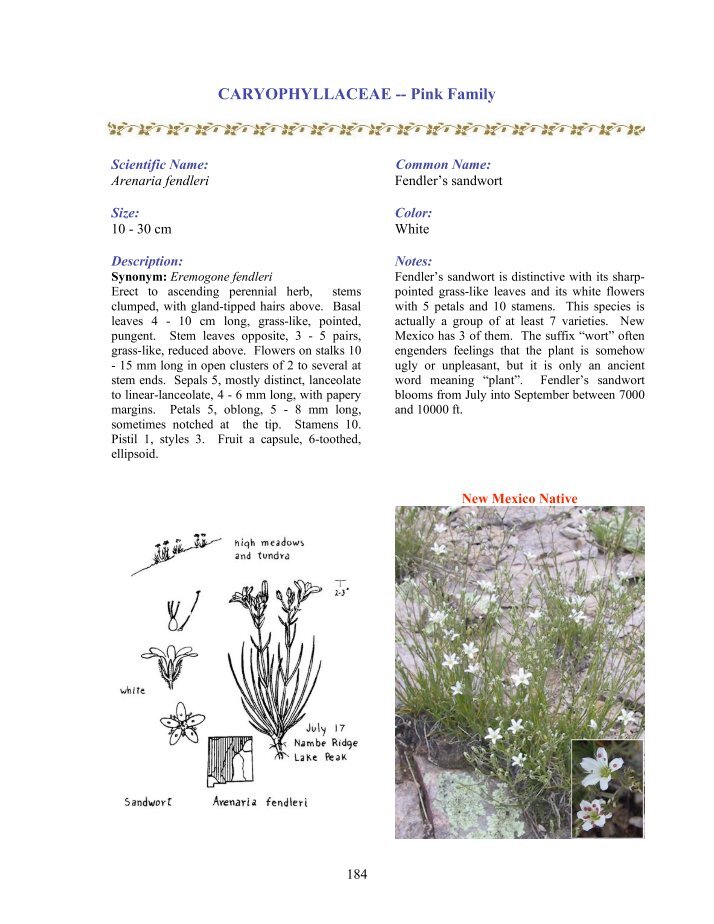 Locoweed Magazines