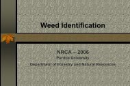 Weed Identification for NRCA - Purdue Agriculture - Purdue University