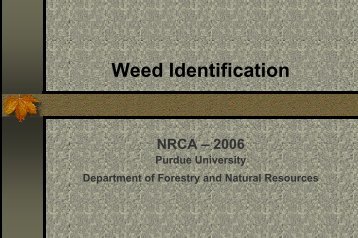 Weed Identification for NRCA - Purdue Agriculture - Purdue University
