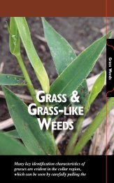 grass & grass-lIke Weeds - The Iowa Soybean Association