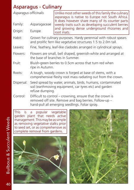 “Garden Escapes” education booklet - Sydney Weeds Committees