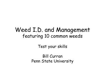 Weed I.D. and Management - Extension - Penn State University