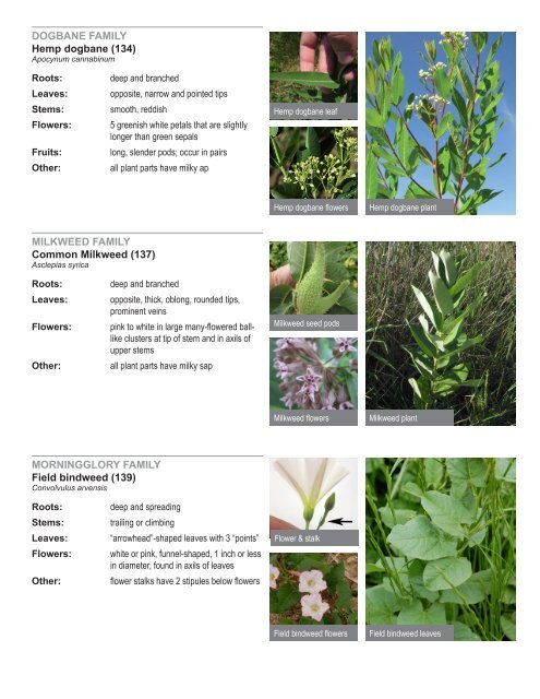 IPM Crop Scouting Weed Guide - PDF