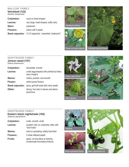 IPM Crop Scouting Weed Guide - PDF